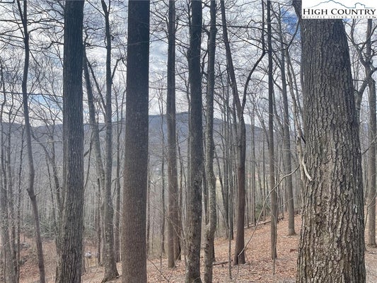 10 JACKSON RIDGE ROAD, BOONE, NC 28607 - Image e9ff3b045793a5fcd8079eea59bc9241/2788179554