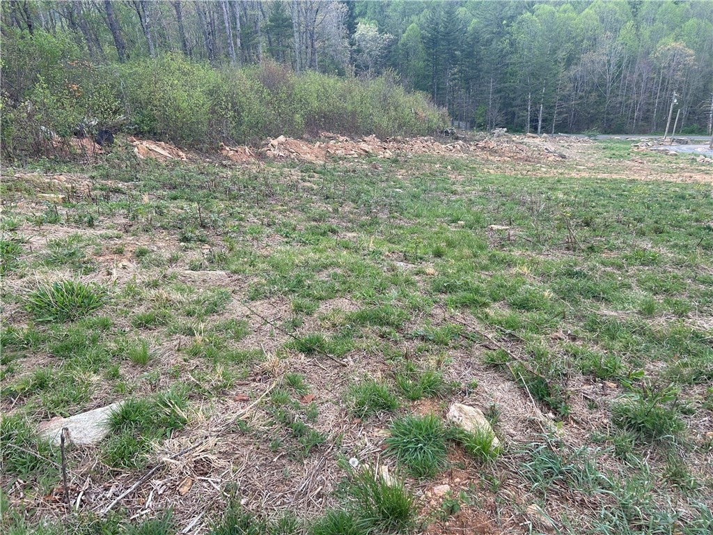 Photo of TBD Grant Houck, Todd, NC 28684 (MLS # 262756)
