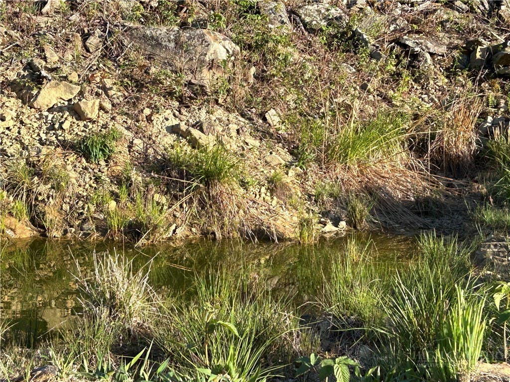 Photo of TBD Grant Houck, Todd, NC 28684 (MLS # 262756)