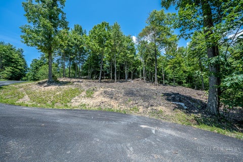 Photo of Lot 81 TBD Bear Creek Road, Elk Park, NC 28622 (MLS # 264631)