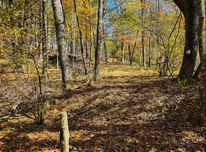 Lot 36 Deer Trail