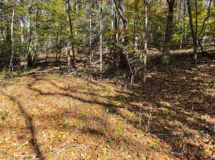 Lot 36 Deer Trail