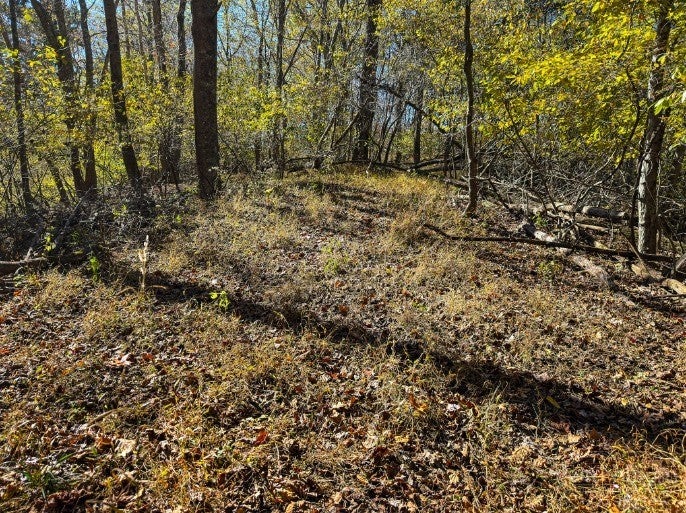 Lot 36 Deer Trail