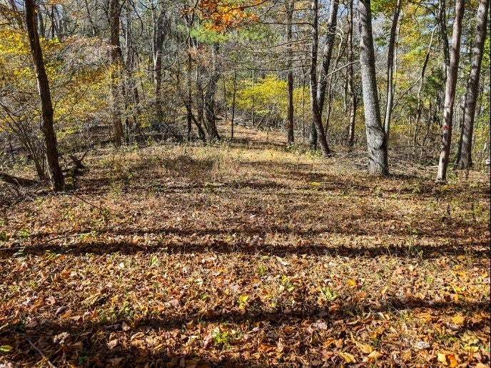 Lot 36 Deer Trail