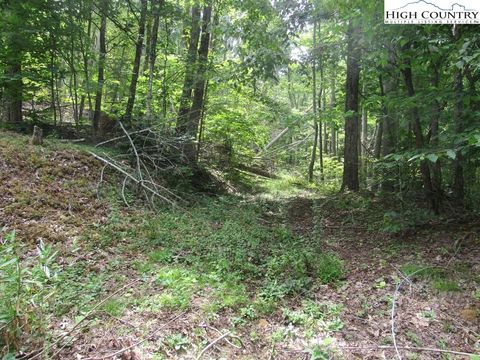 Photo of TBD JC Norton, Warrensville, NC 28693 (MLS # 257528)