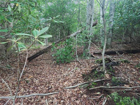 Photo of 274 Poplar Drive, Beech Mountain, NC 28604 (MLS # 263757)