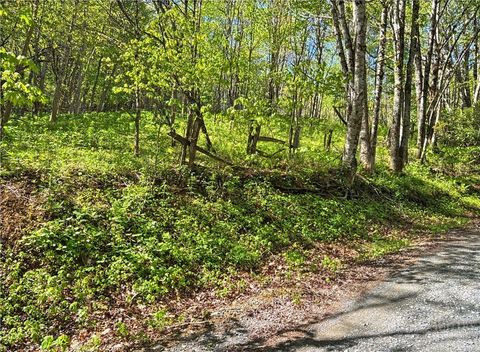 Photo of TBD Ed Perry Ln NC TBD Ed Perry Ln NC Lane, Banner Elk, NC 28604 (MLS # 261823)