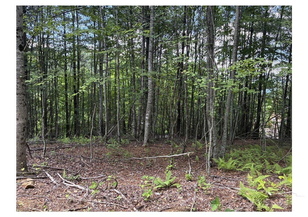Lot 22 Woodland Circle