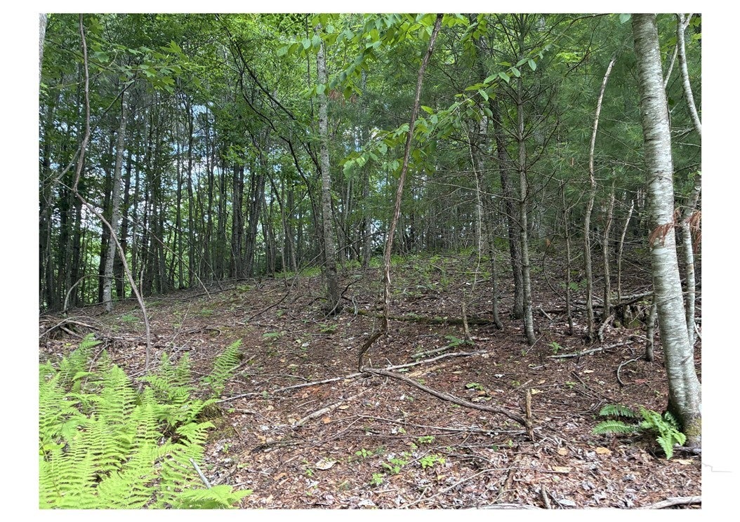 Lot 22 Woodland Circle