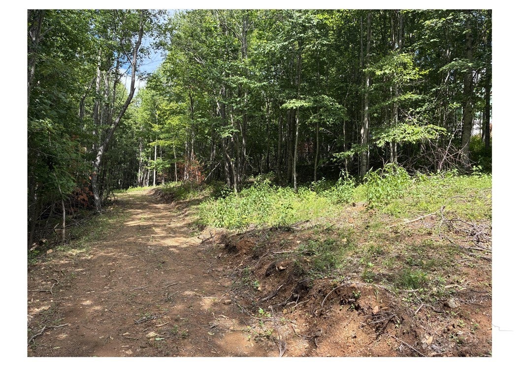 Lot 22 Woodland Circle