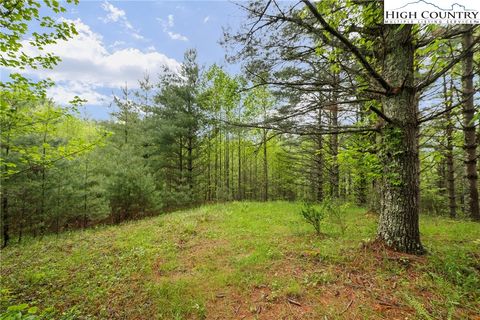 Vacant Land For Sale - LOTS 20 & 21 Noble Drive<br/> Fleetwood, NC 28626