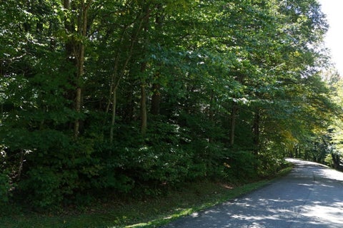 Vacant Land For Sale - LOT 1 Castlefern Road<br/> Banner Elk, NC 28604
