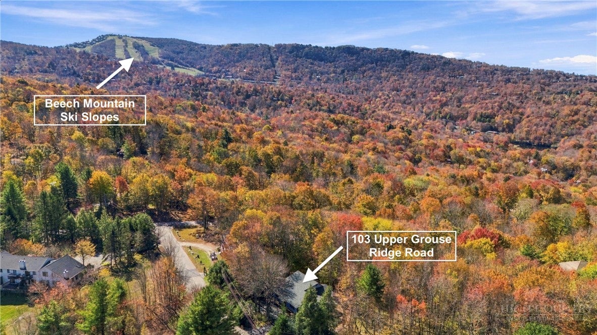 103 Upper Grouse Ridge Road