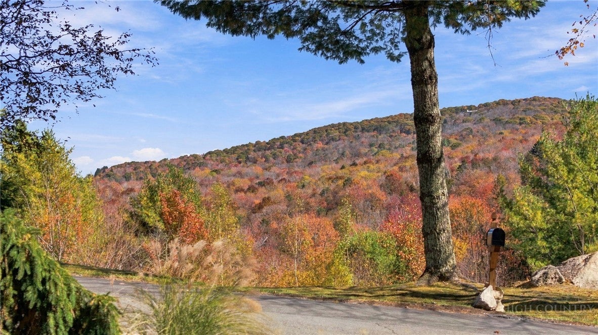 103 Upper Grouse Ridge Road