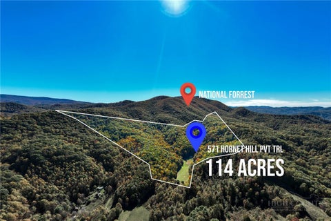 Photo of 571 Hornet Hill PVT Trail, Butler, TN 37640 (MLS # 264977)