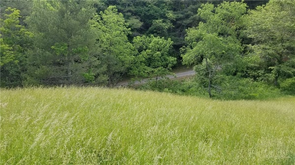 10 RACHEL WAY, PINEY CREEK, NC 28663 - Image f00d415ea7d6cd7fa96279d2440e17c1/256219083