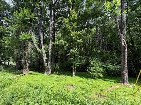 Photo of TBD Kirkwood Heath Road, Boone, NC 28607 (MLS # 262871)