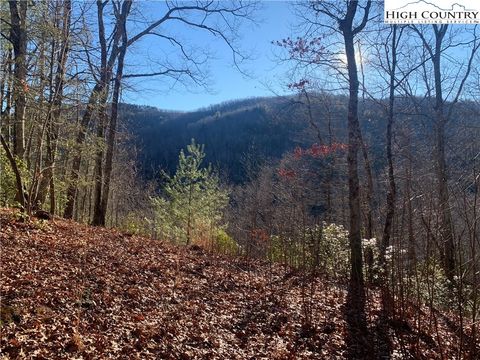 Photo of TBD Elk Ridge Road, Deep Gap, NC 28618 (MLS # 247529)