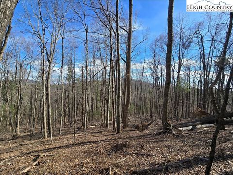 Photo of TBD Parkway Estates Rd, Laurel Springs, NC 28644 (MLS # 254262)