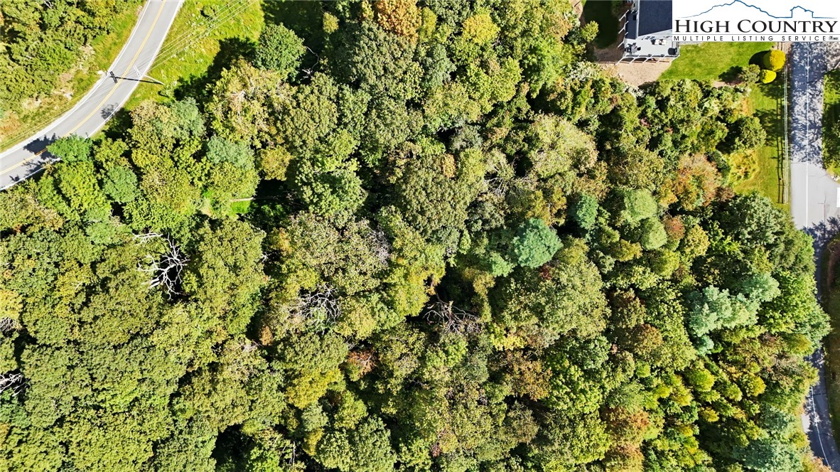 Boone, North Carolina 28607, United States, ,Land,Active,216889