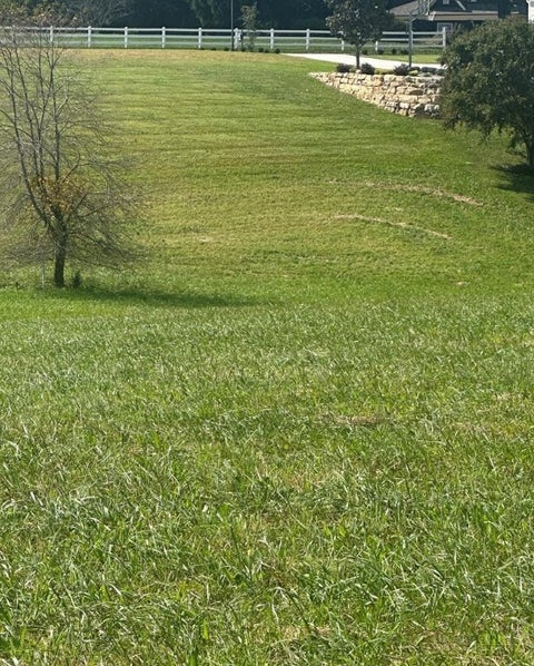 Photo of Lot 221 Canterbury Drive, North Wilkesboro, NC 28659 (MLS # 265076)