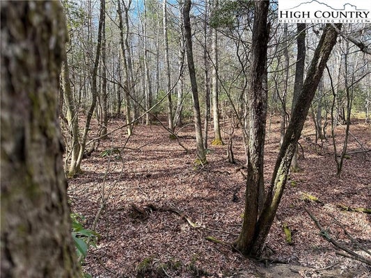 23 HOLLY LN, GLADE VALLEY, NC 28627 - Image f2e0b9194bdc7a5c2bdd415ae15b8d13/1236505531