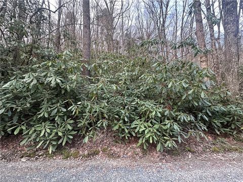 Photo of 0 Rocky Creek Road, Boone, NC 28607 (MLS # 261324)