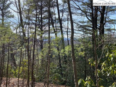 Photo of TBD Poplar Grove Road, Boone, NC 28607 (MLS # 243087)