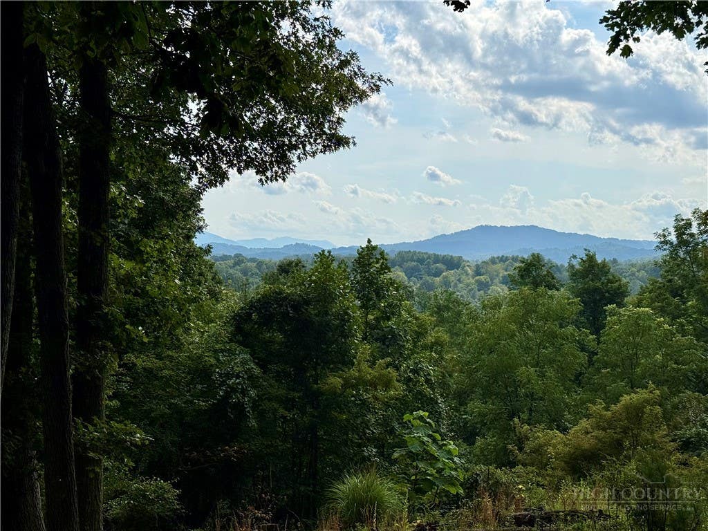 Photo of 61 Lucky Hill Road, Grassy Creek, NC 28631 (MLS # 263778)
