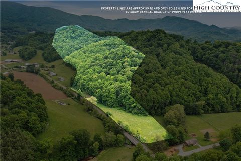 Photo of TBD Odes Wilson Road, Zionville, NC 28698 (MLS # 249973)