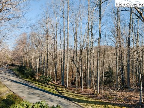 Photo of Lot 52 Raven Ridge Road, Banner Elk, NC 28604 (MLS # 247596)