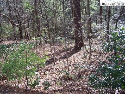 Photo of TBD Roaring Ridge Road, Deep Gap, NC 28618 (MLS # 246527)