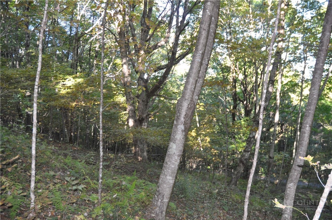 TBD E. Whenlin Ridge Road