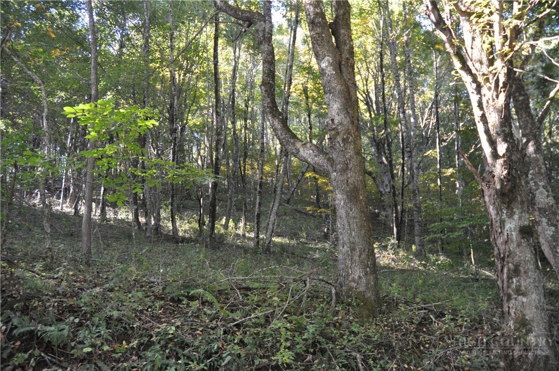 TBD E. Whenlin Ridge Road