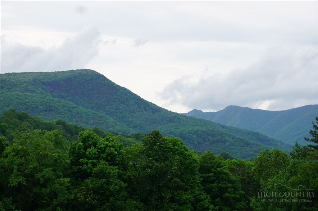 Photo of 1470 Buck Mountain Road, West Jefferson, NC 28694 (MLS # 262150)