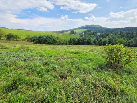 Photo of TBD Crestview Mountain Drive, Ennice, NC 28623 (MLS # 264381)