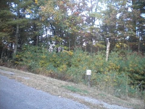 Vacant Land For Sale - LOT 11 Pine Chase<br/> Glade Valley, NC 28627