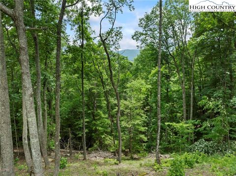 Photo of WR44 6964 Beech Mountain Road, Elk Park, NC 28622 (MLS # 250423)