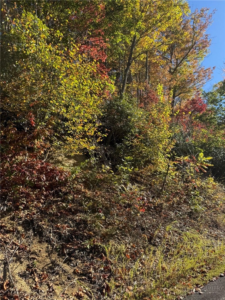TBD Beaver Dam Road