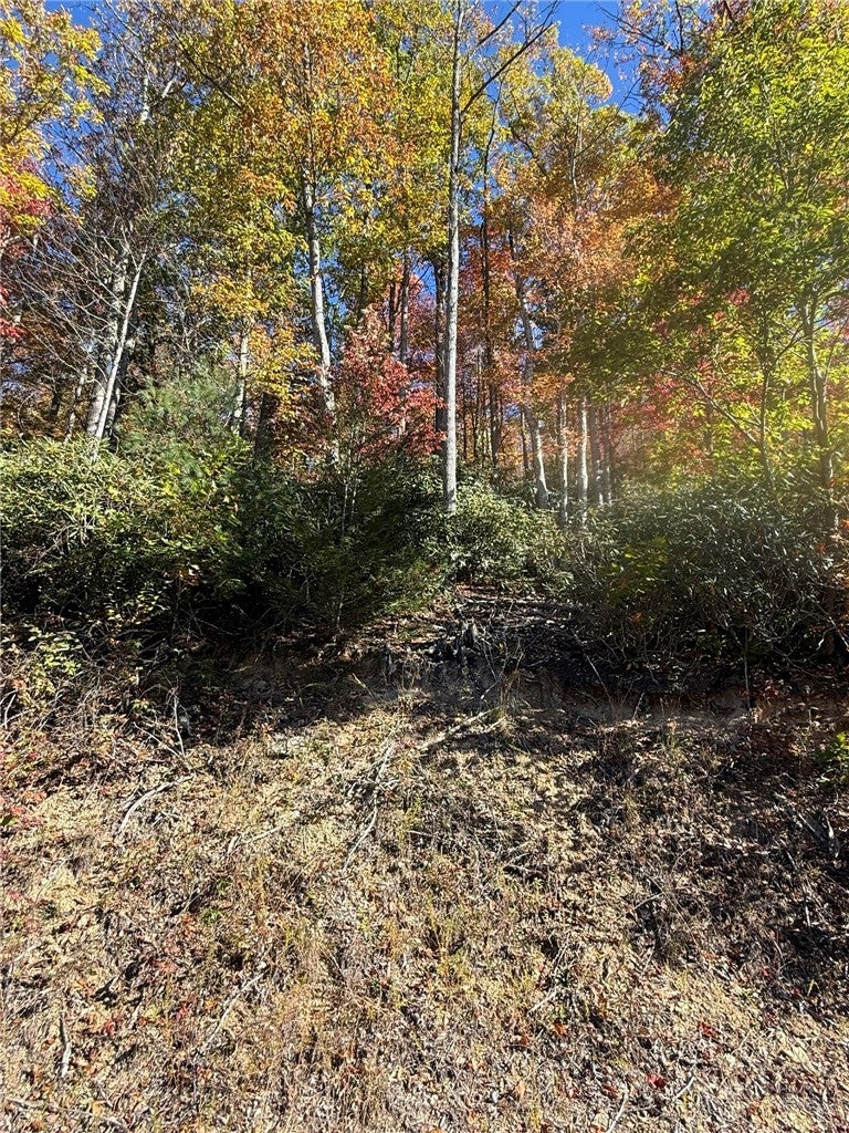 TBD Beaver Dam Road