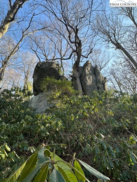 Photo of TBD Wexford Drive, Boone, NC 28607 (MLS # 255138)