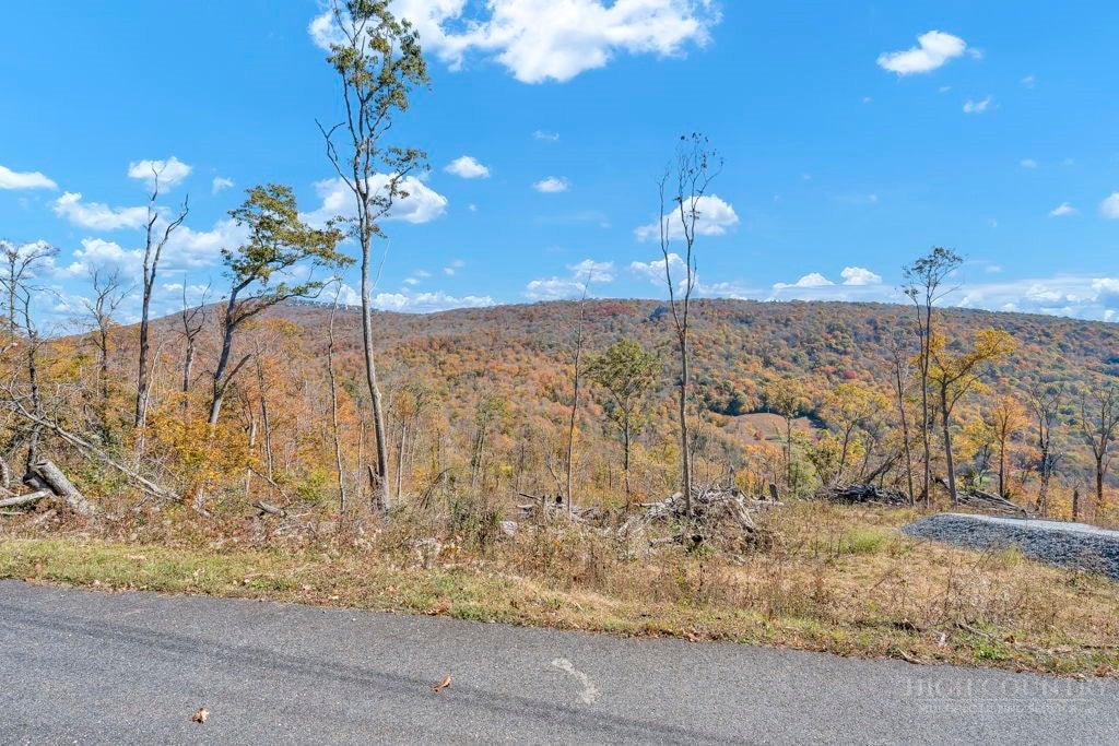 Lot #15 Meadow Avenue