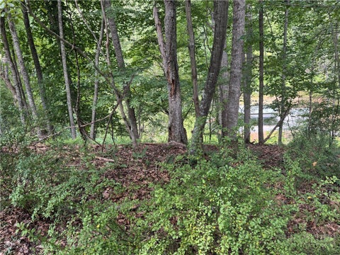 Photo of Lot 56 Happy Eden Drive, Piney Creek, NC 28631 (MLS # 264291)