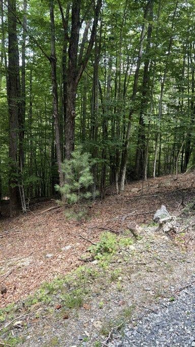 Photo of 141 Sassafrass Road, Beech Mountain, NC 28604 (MLS # 263669)
