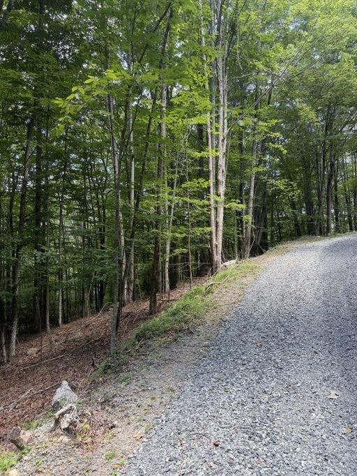 Photo of 141 Sassafrass Road, Beech Mountain, NC 28604 (MLS # 263669)