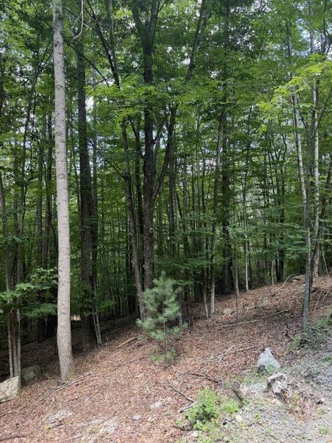 Photo of 141 Sassafrass Road, Beech Mountain, NC 28604 (MLS # 263669)