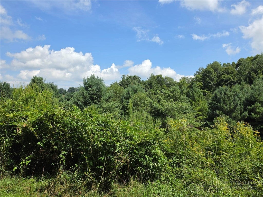 Lot 69 Green Meadows Drive