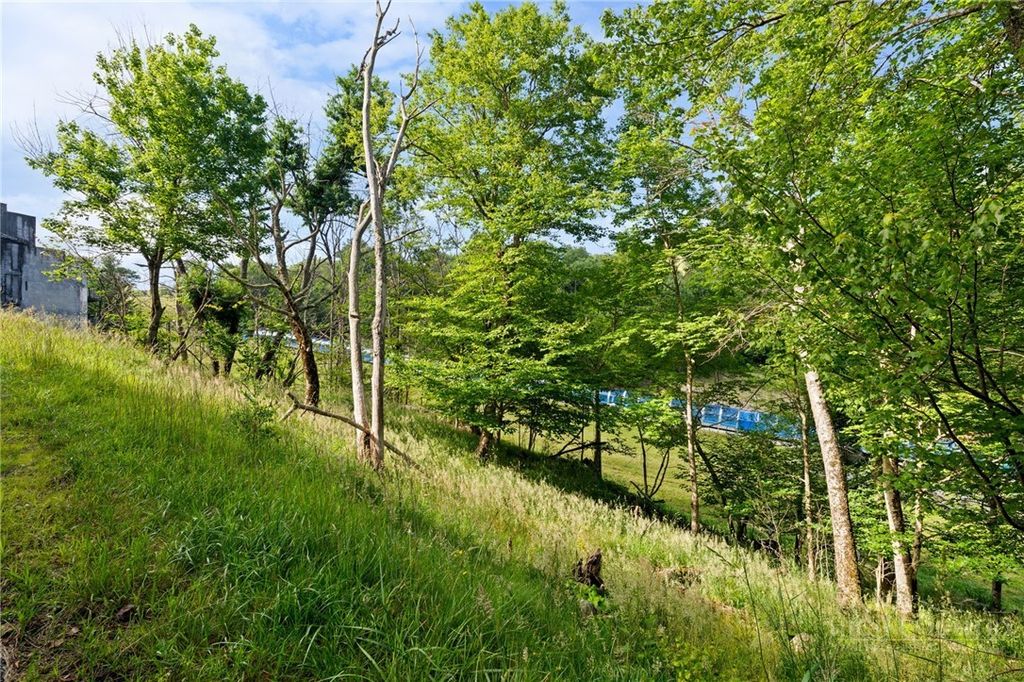 Photo of 107 Wedling Weg, Beech Mountain, NC 28604 (MLS # 263061)