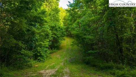 Photo of TBD-5 Big Laurel Road, Creston, NC 28615 (MLS # 256816)