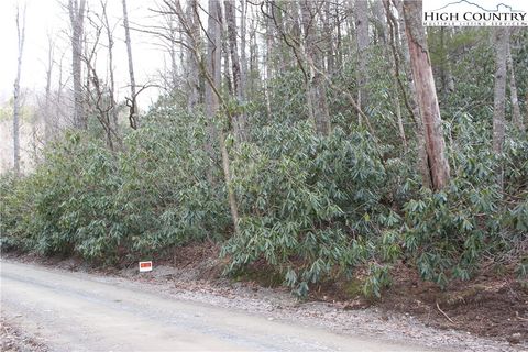 Photo of TBD Rocky Creek Road, Boone, NC 28607 (MLS # 254064)